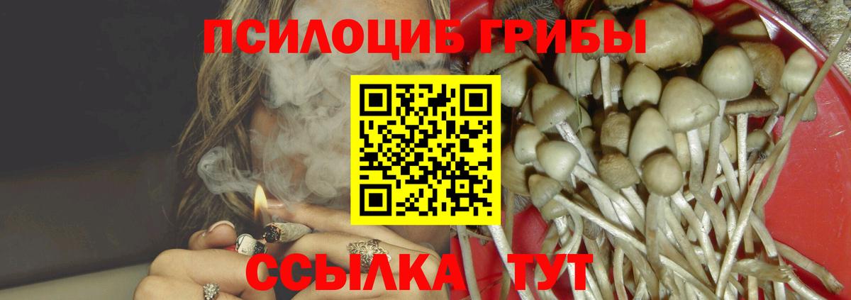 Галлюциногенные грибы Psilocybine cubensis Лесной
