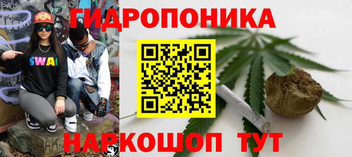 Канабис SATIVA & INDICA Лесной